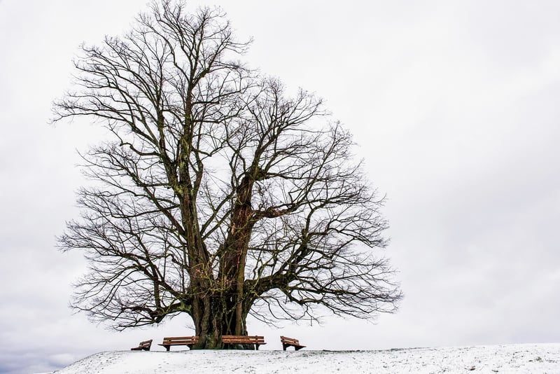 Stunning Nature Photo
